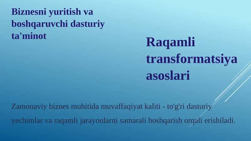 Biznesni yuritish va boshqaruvchi dasturiy ta'minot 1