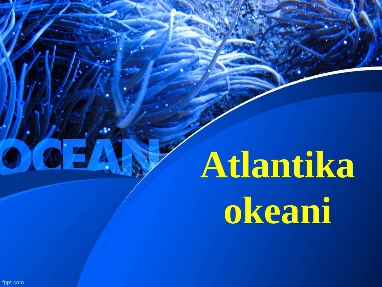 Atlantika okeani 1