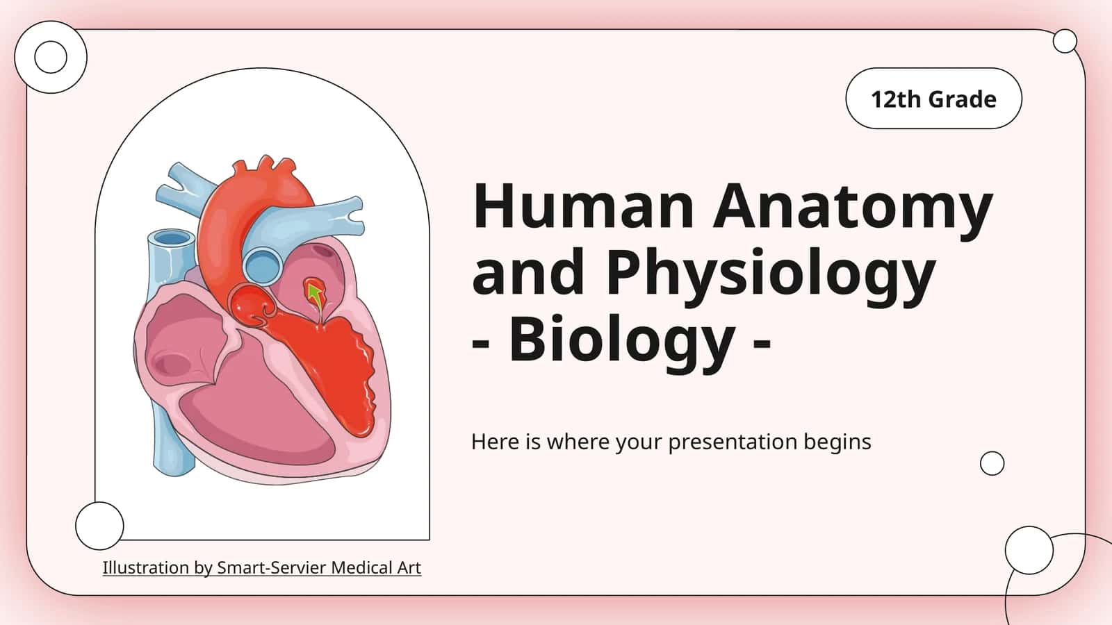 Human Anatomy and Physiology 1