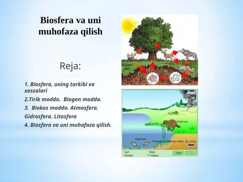 Biosferavaunimuhofazaqilish 1