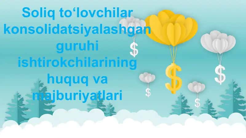 Soliq to‘lovchilar konsolidatsiyalashgan guruhi ishtirokchilarining huquq va majburiyatlari 1