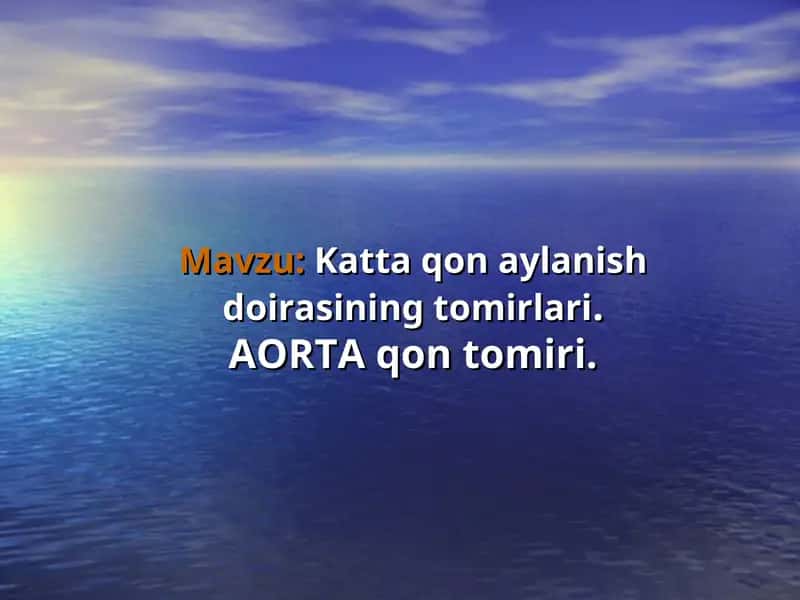 AORTA qon tomiri 1