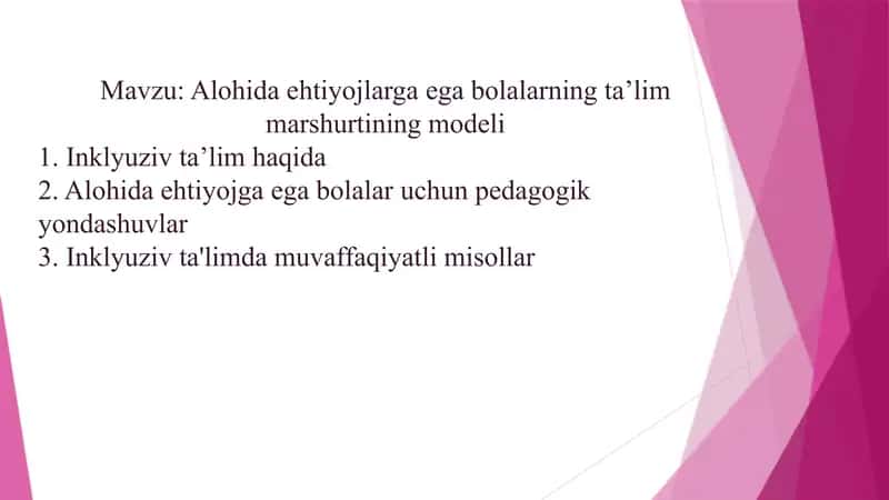 Alohida ehtiyojlarga ega bolalarning taʼlim marshurtining modeli 1