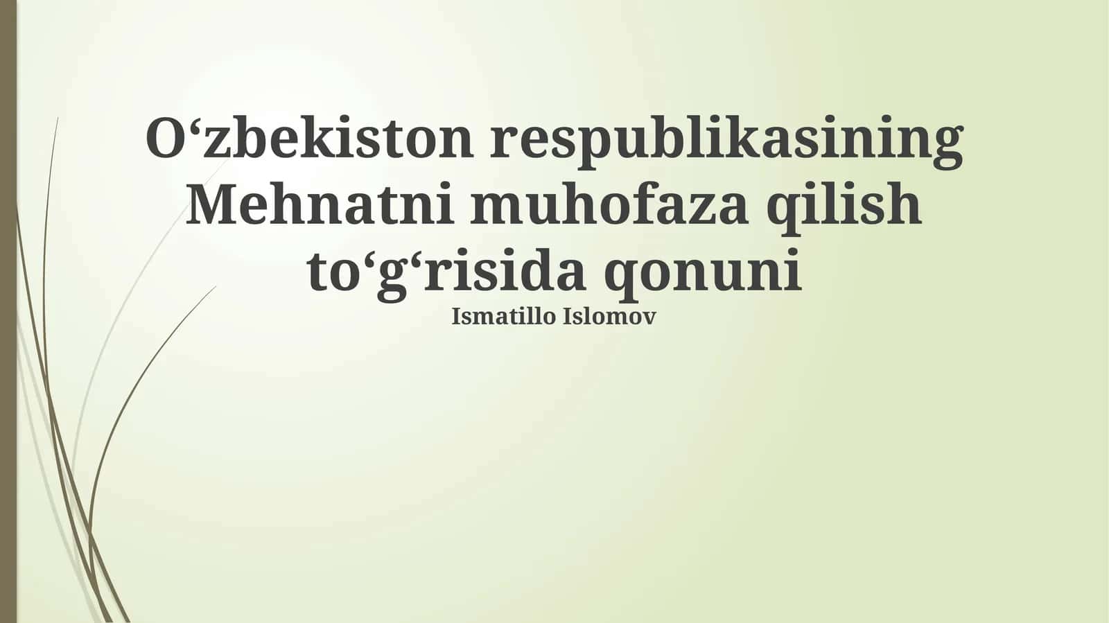 Mehnatni muhofaza qilish toʻgʻrisida qonuni 1