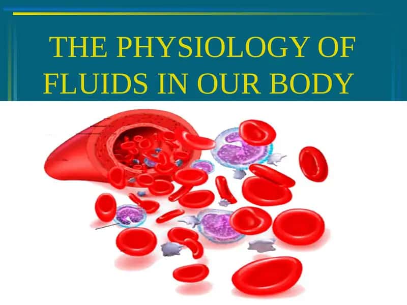 THE PHYSIOLOGY OF FLUIDS IN OUR BODY 1