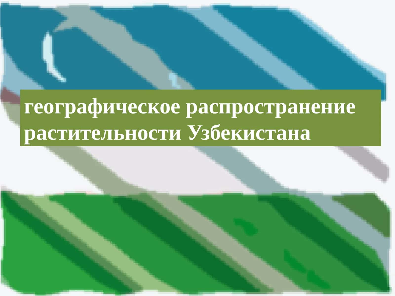 географическое распространение растительности Узбекистана 1