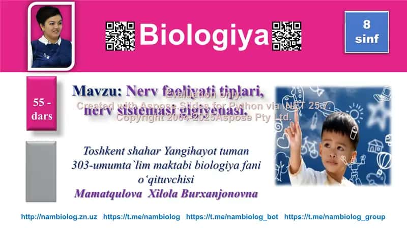 Nerv faoliyati tiplari, nerv sistemasi gigiyenasi 1