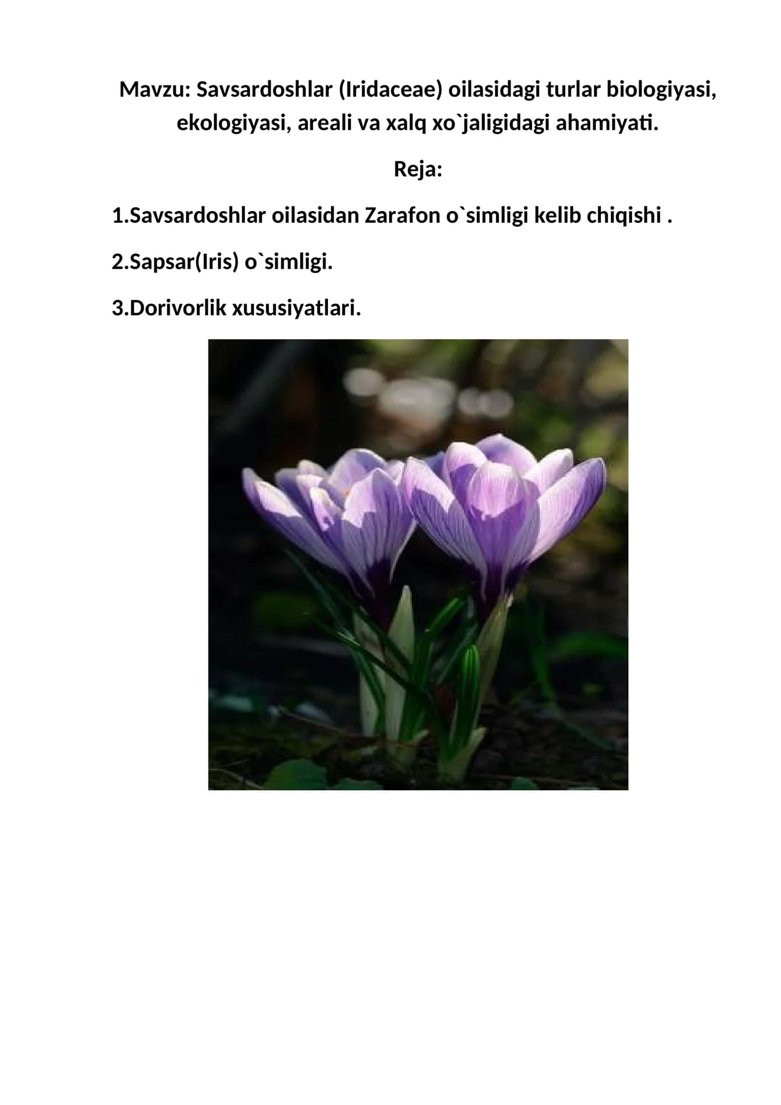 Savsardoshlar (Iridaceae) oilasidagi turlar biologiyasi, ekologiyasi, areali va xalq xo`jaligidagi ahamiyati 1
