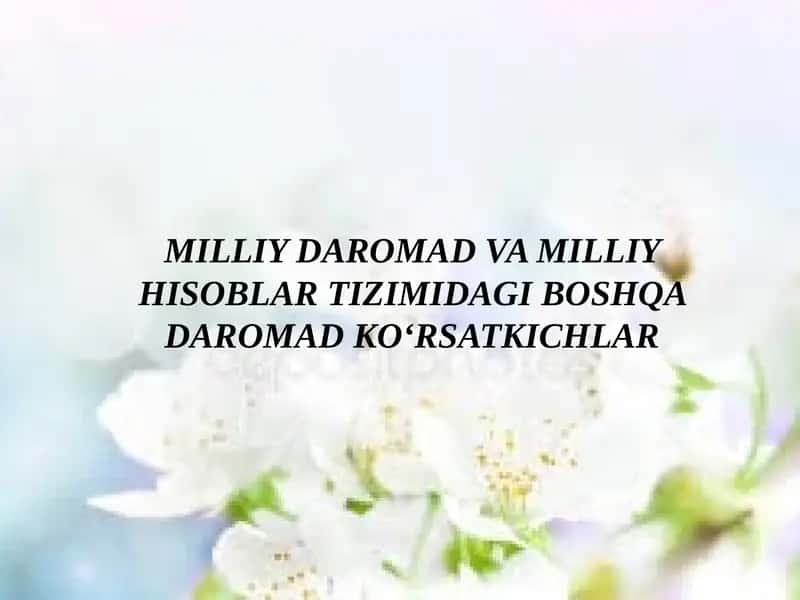 MILLIY DAROMAD VA MILLIY HISOBLAR TIZIMIDAGI BOSHQA DAROMAD KO‘RSATKICHLAR 1