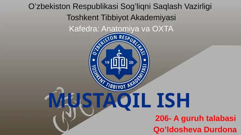Yelka chigalining hosil bo'lishi va uning qisqa shoxlari. 1