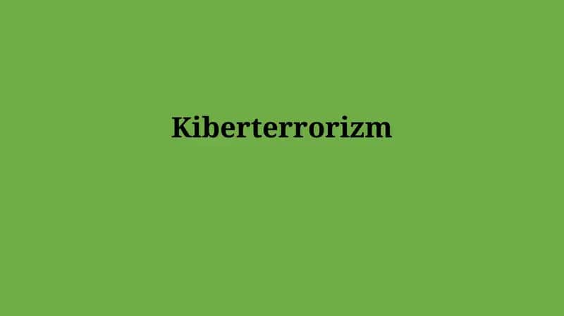 Kiberterrorizm: Ta'rif, Turlari va Motivatsiyalari 1