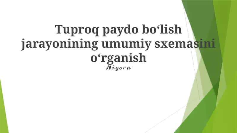 Tuproq paydo boʻlish jarayonining umumiy sxemasini oʻrganish 1