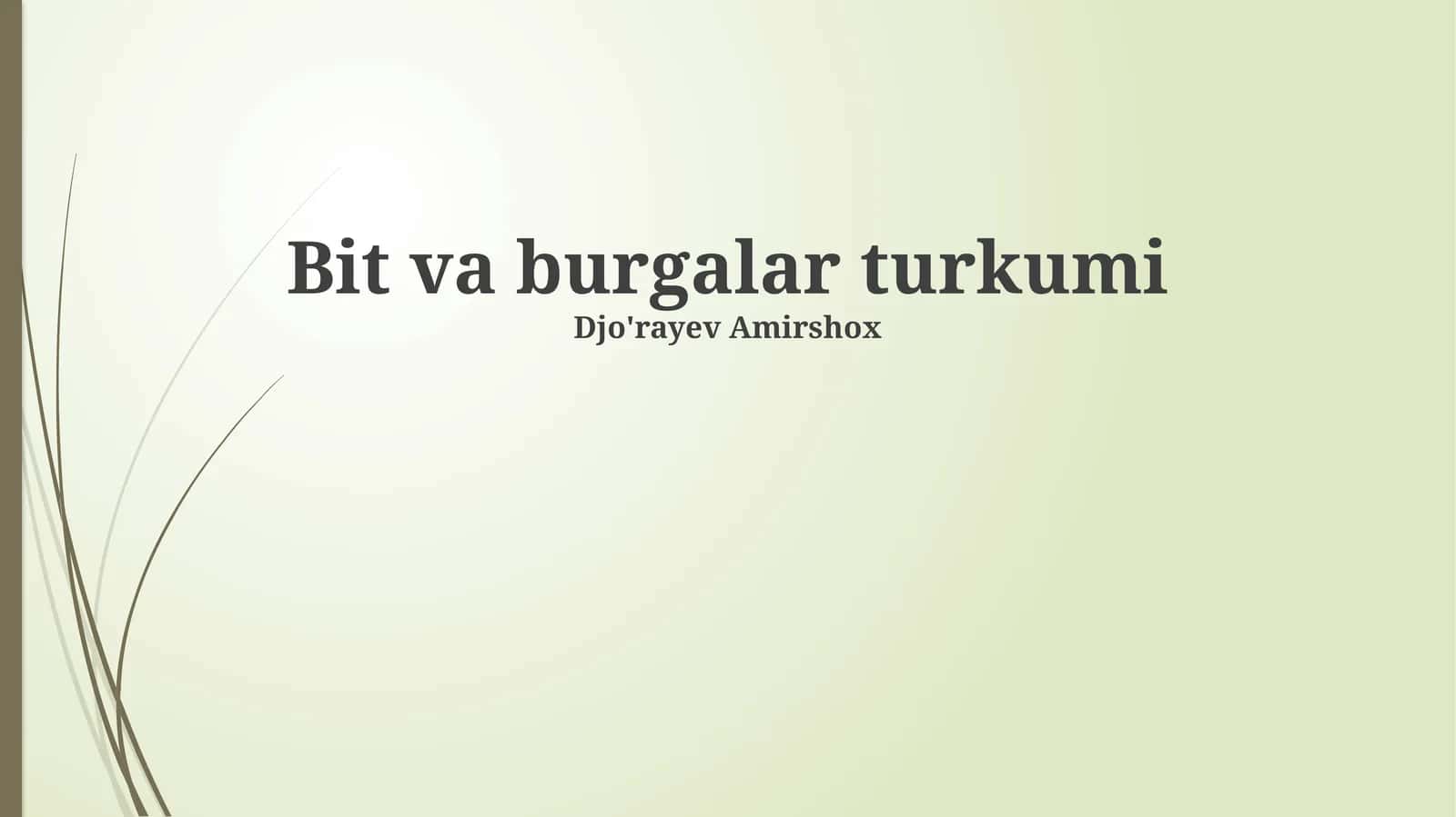 Bit va burgalar turkumi 1