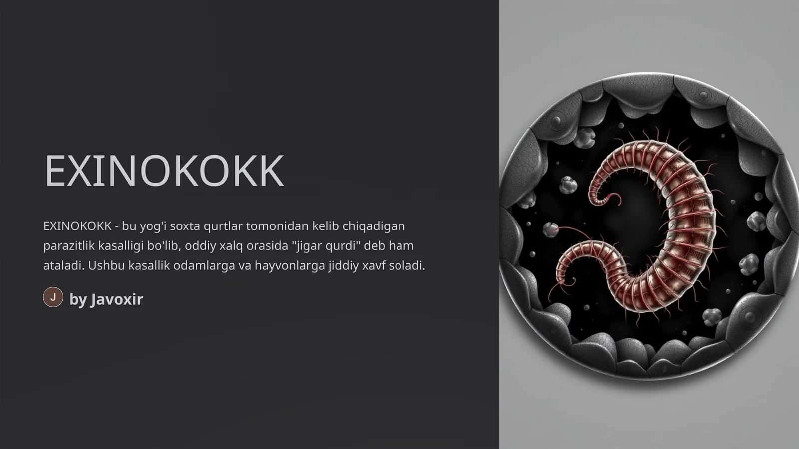 EXINOKOKK 1