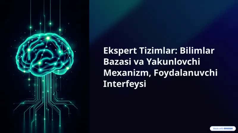 Ekspert Tizimlar: Bilimlar Bazasi va Yakunlovchi Mexanizm, Foydalanuvchi Interfeysi 1