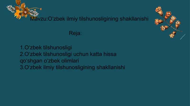 O‘zbek ilmiy tilshunosligining shakllanishi 1