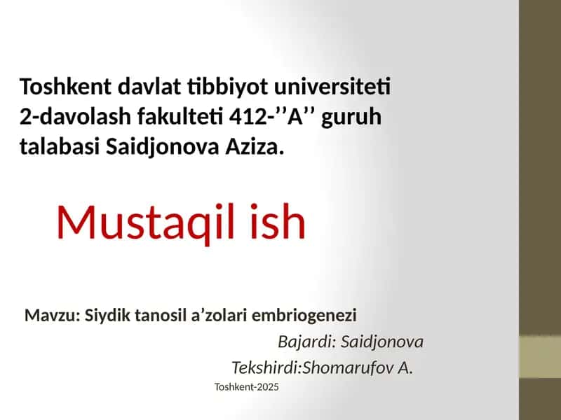 Siydiktanosilaʼzolariembriogenezi 1