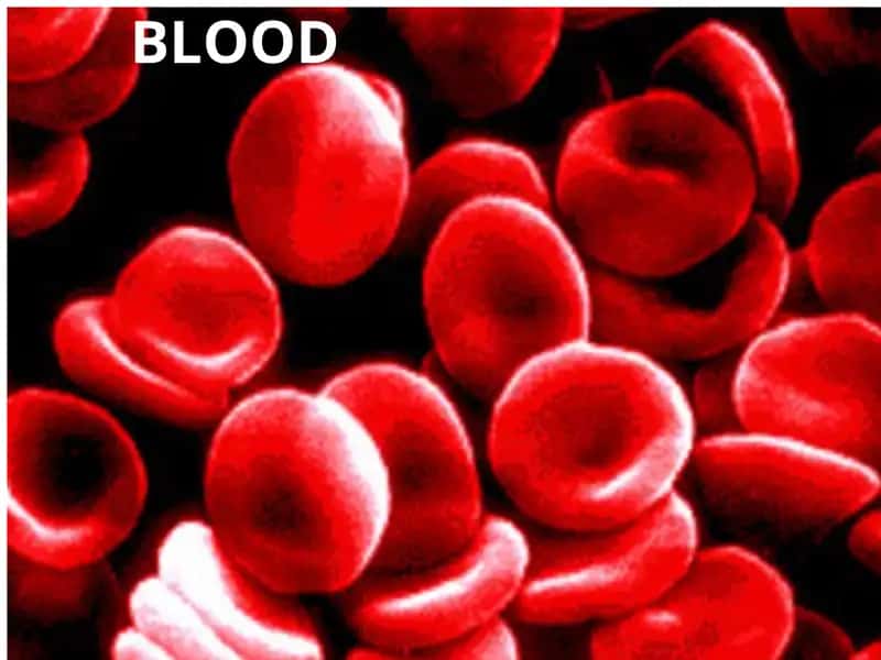 blood 1