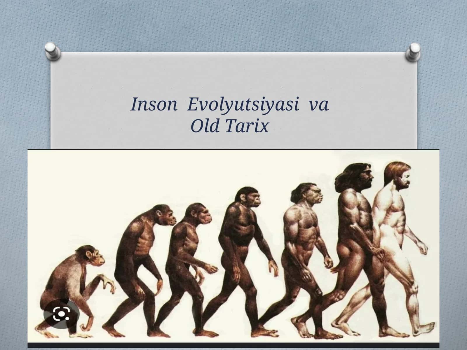 Avstrolopiteklarto`g`risidagiyangiantropogoneznazariyalar 1