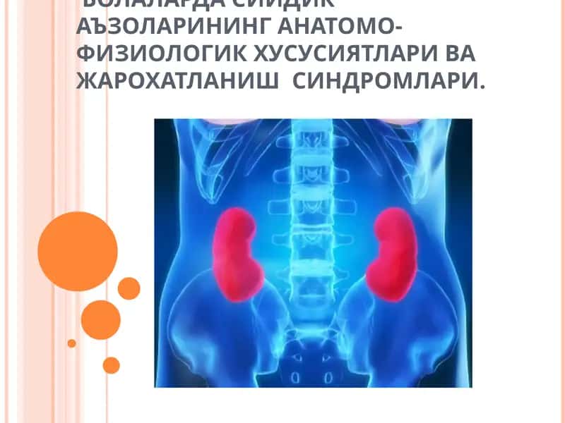 СИЙДИК АЪЗОЛАРИНИНГ АНАТОМО-ФИЗИОЛОГИК ХУСУСИЯТЛАРИ ВА ЖАРОХАТЛАНИШ СИНДРОМЛАРИ 1