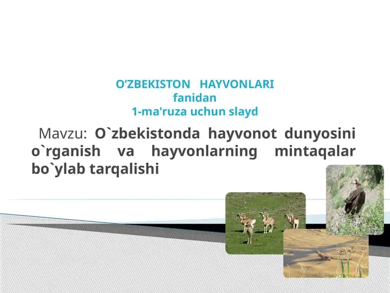 Abu Rayhon Beruniy va Abu Ali ibn Sino o'zbekistonda hayvonot dunyosini o'rganish va hayvonlarning mintaqalar bo'yicha tarqalishi 1
