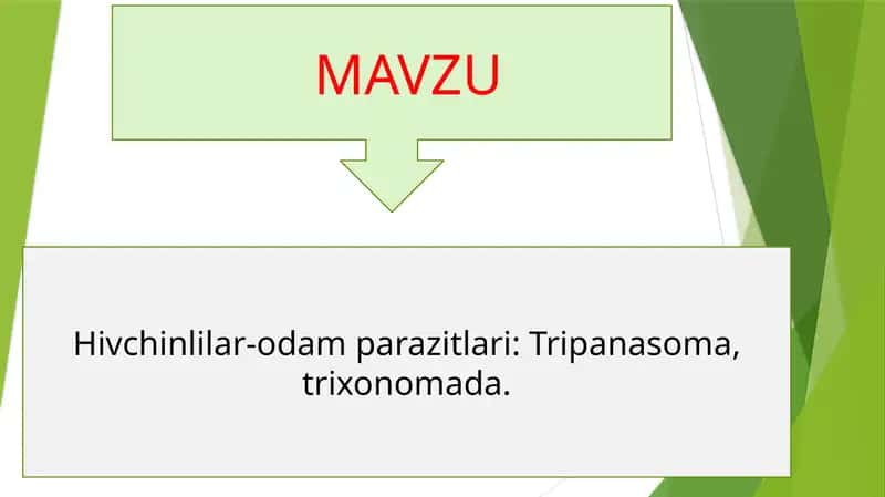 Hivchinlilar-odamparazitlari: Tripanasoma, trixonomada 1