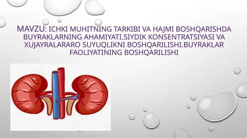 Ichki muhitning tarkibi va hajmi boshqarishda buyraklarning ahamiyati.siydik konsentratsiyasi va xujayralararo suyuqlikni boshqarilishi.Buyraklar faoliyatining boshqarilishi 1