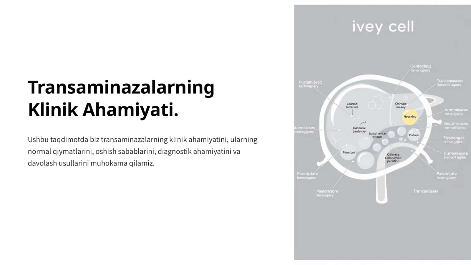 Transaminazalarning Klinik Ahamiyati 1