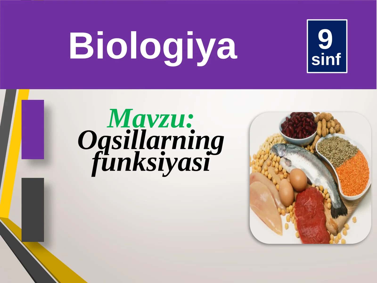 Biologiya 9-sinf Oqsillarning funksiyasi 1