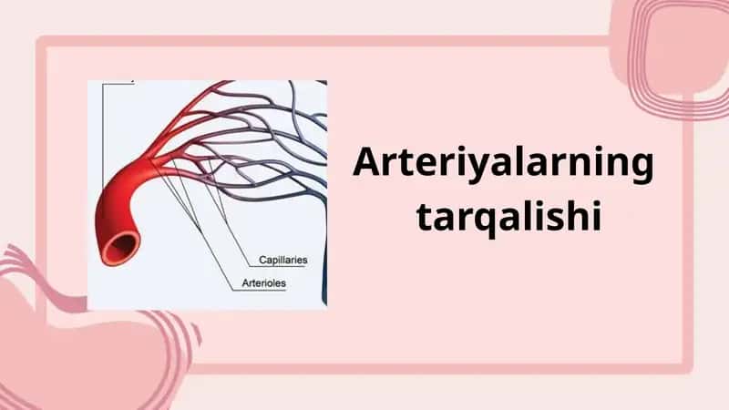 Arteriyalarning tarqalishi 1