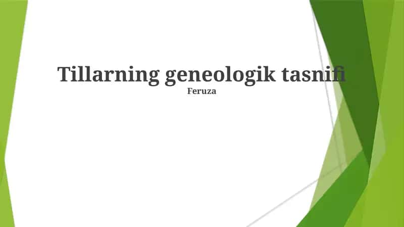 Tillarning geneologik tasnifi 1
