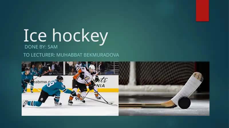Background facts and terminology of ice hockey 1