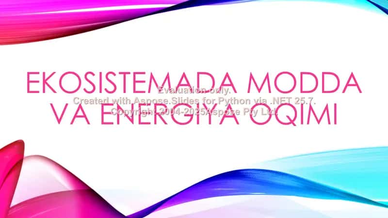 Ekosistemada modda va energiya oqimi 1