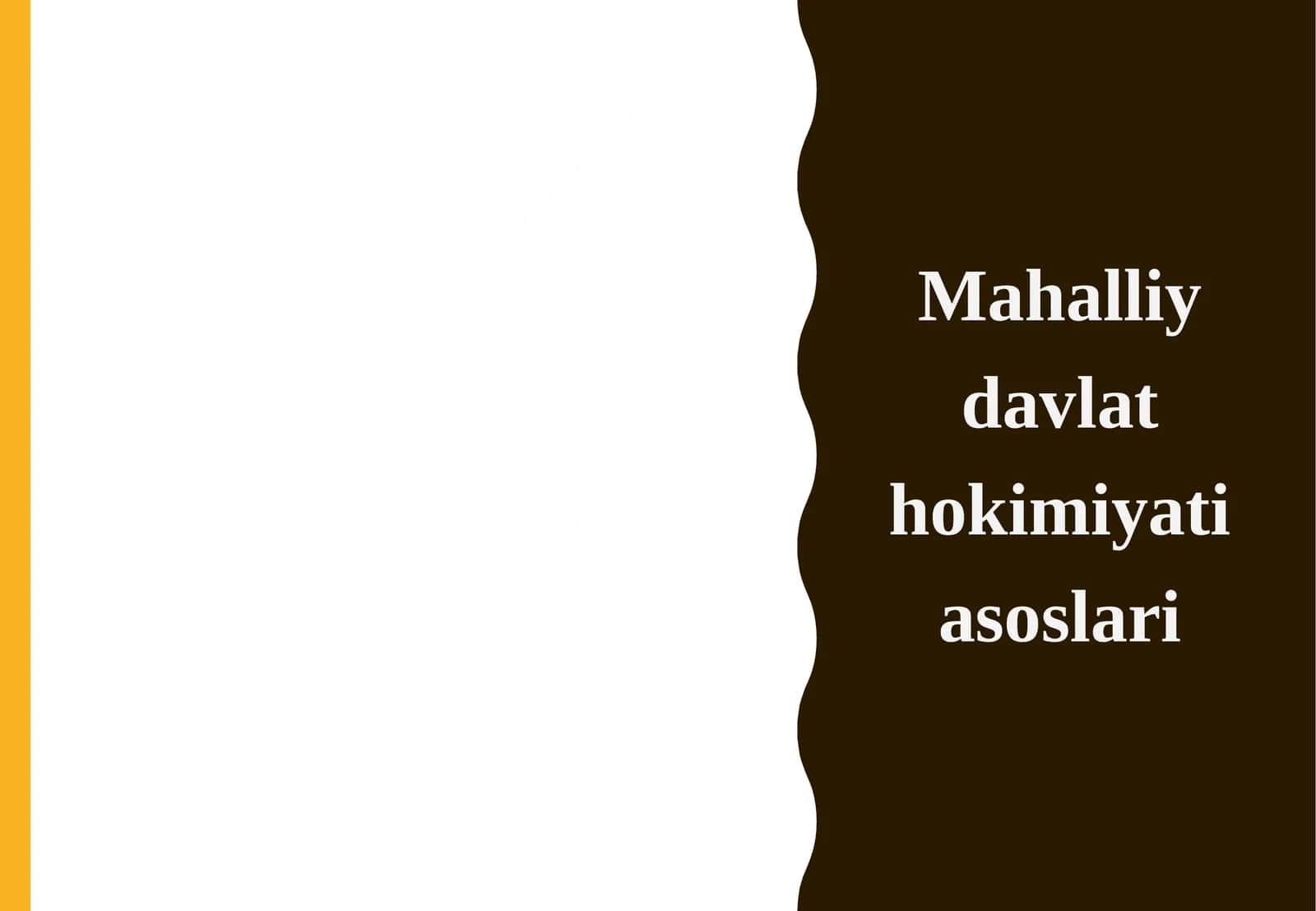 Mahalliy davlat hokimiyati asoslari. 1
