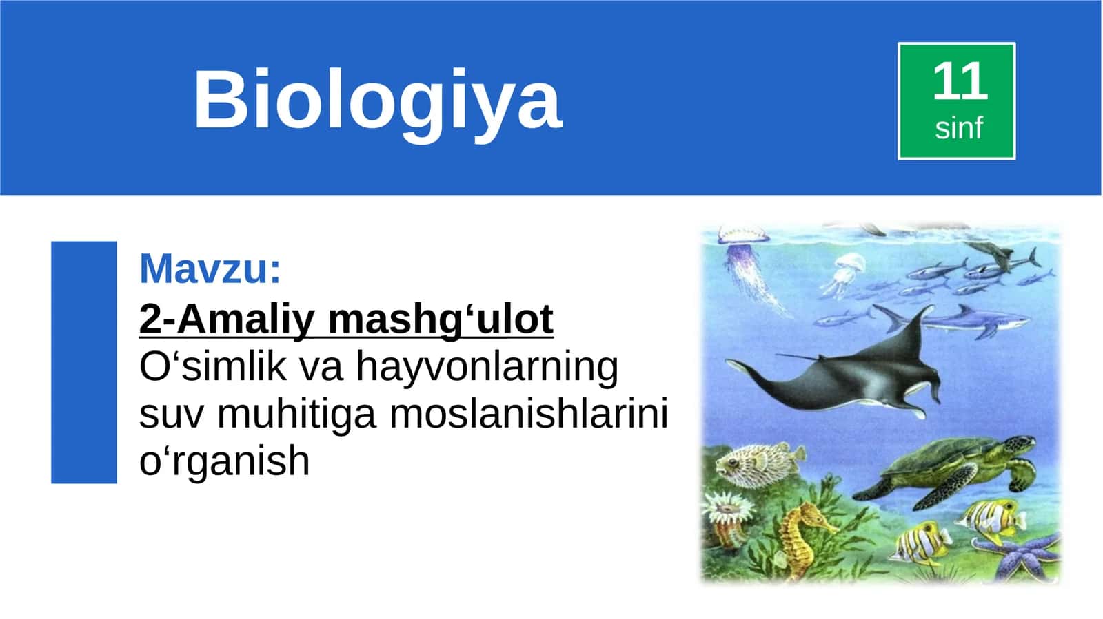 O‘simlik va hayvonlarning suv muhitiga moslanishlarini o‘rganish 1