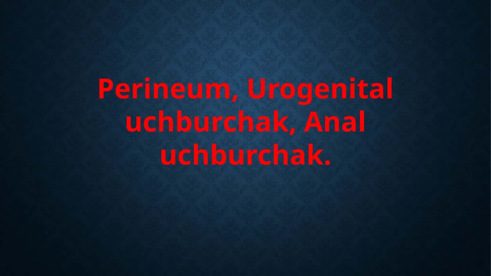 Perineum 1