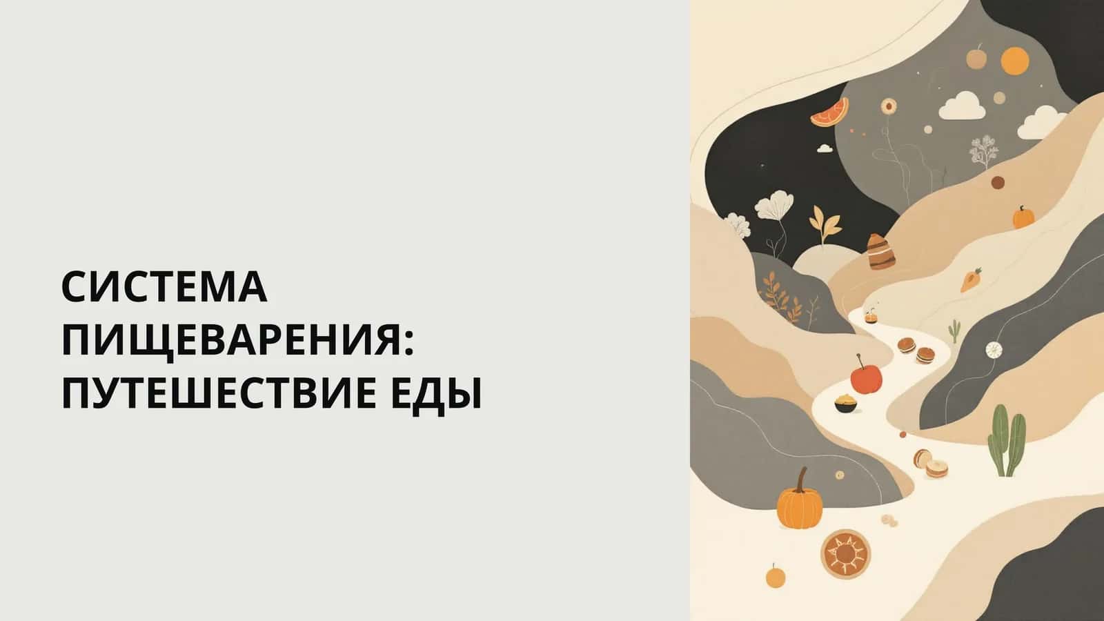СИСТЕМА ПИЩЕВАРЕНИЯ: ПУТЕШЕСТВИЕ ЕДЫ 1