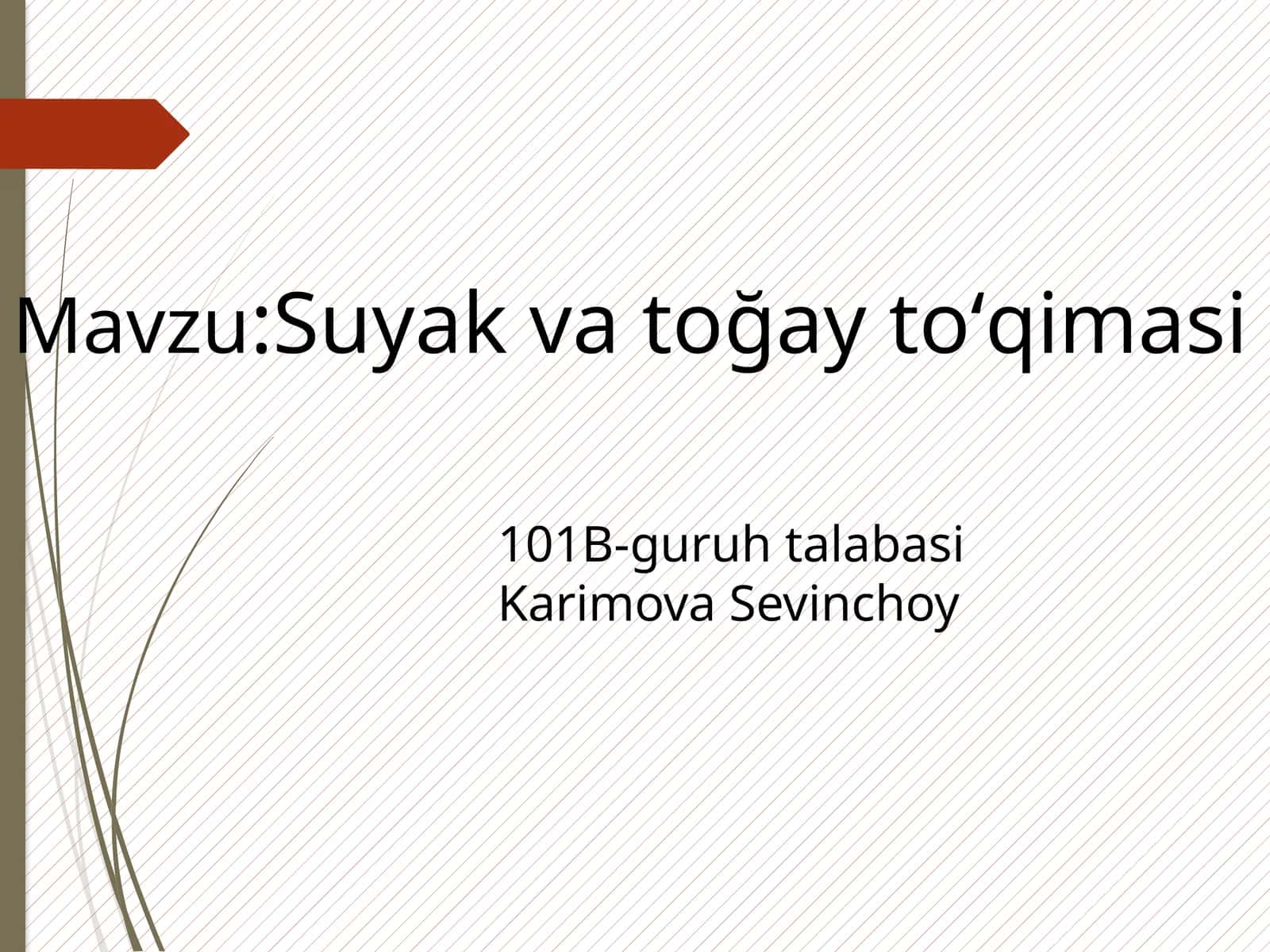 Suyakvatoğaytoʻqimasi 1