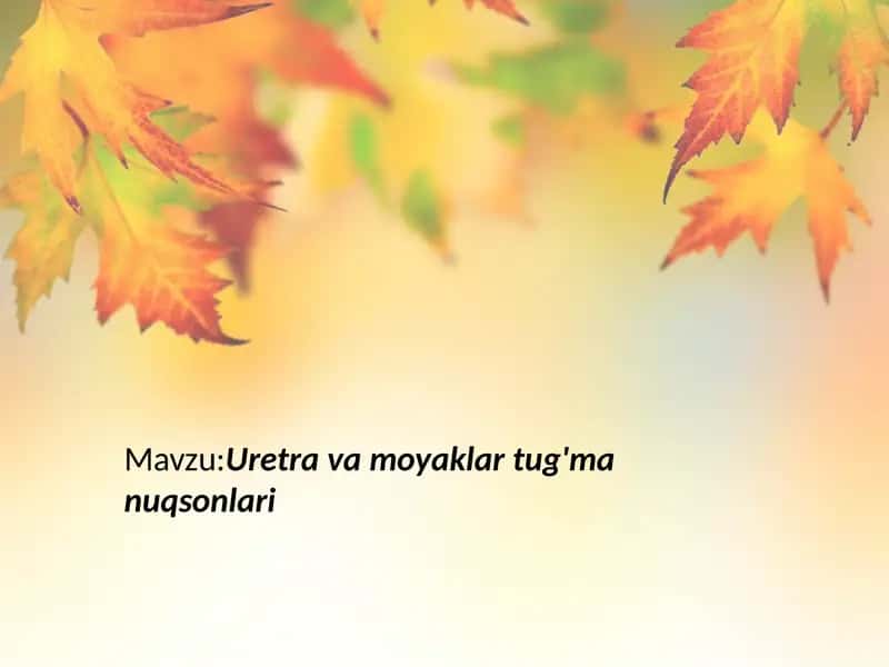 Uretra va moyaklar tug'ma nuqsonlari. 1
