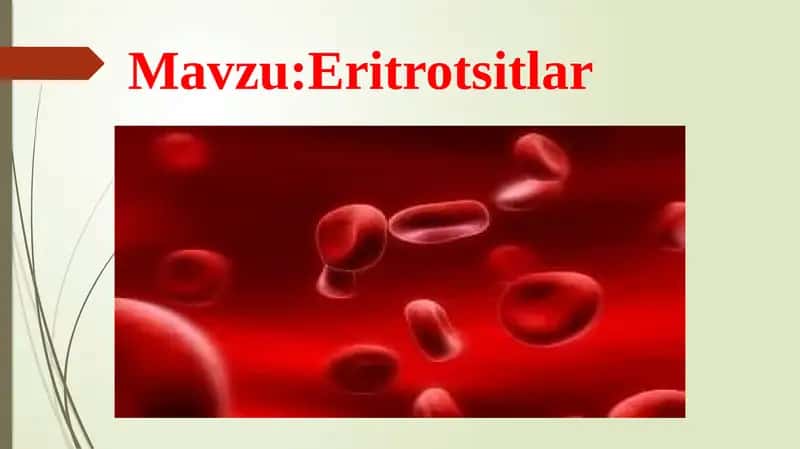 Eritrotsitlar 1