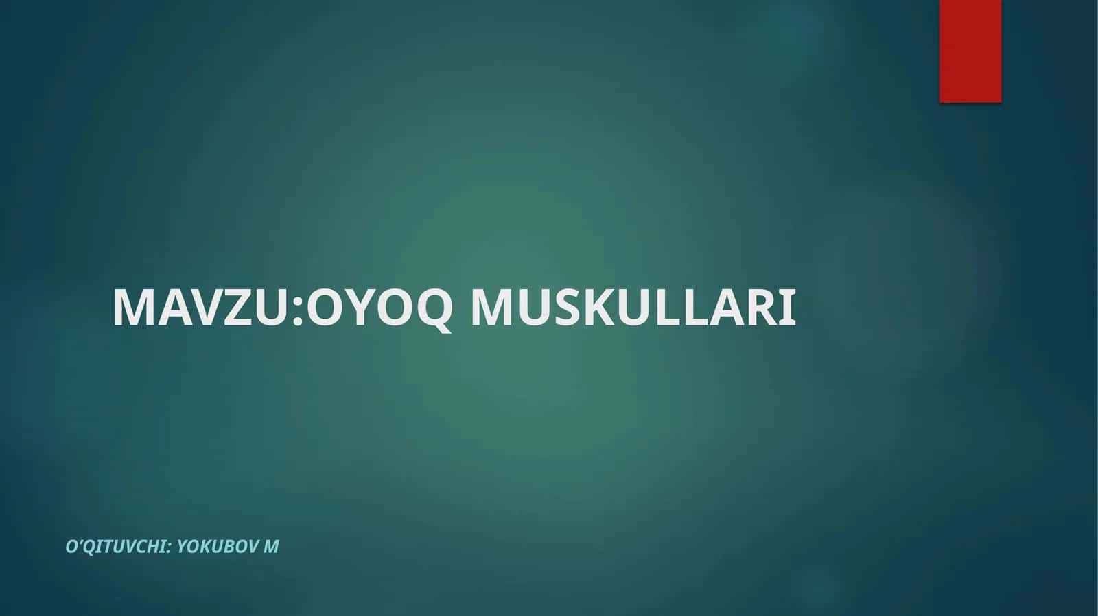 OYOQ MUSKULLARI 1