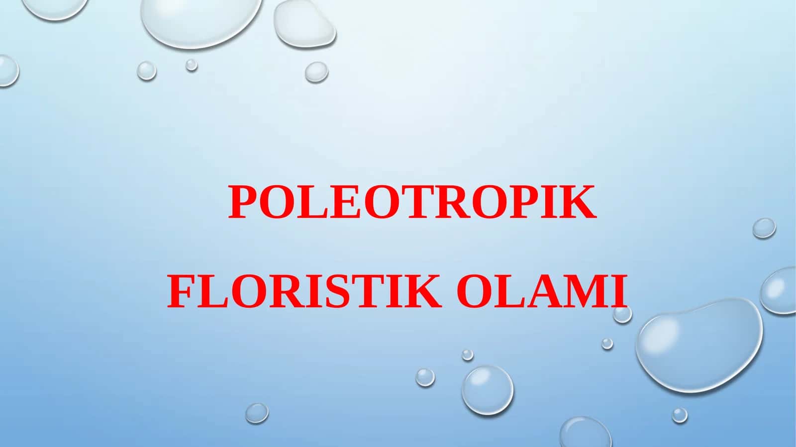 POLEOTROPIK FLORISTIK OLAMI 1