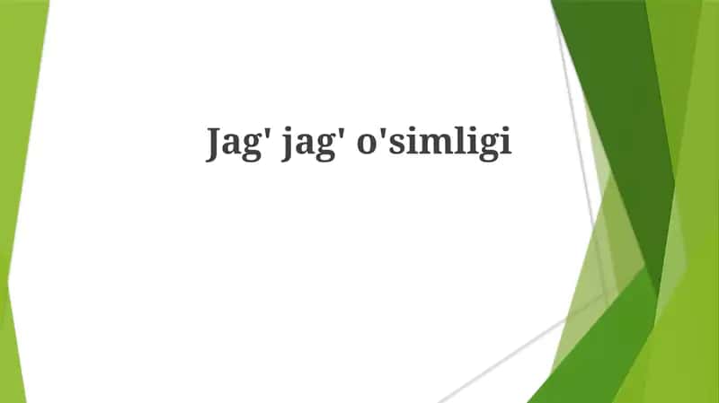 Jag' jag'o'simligi 1