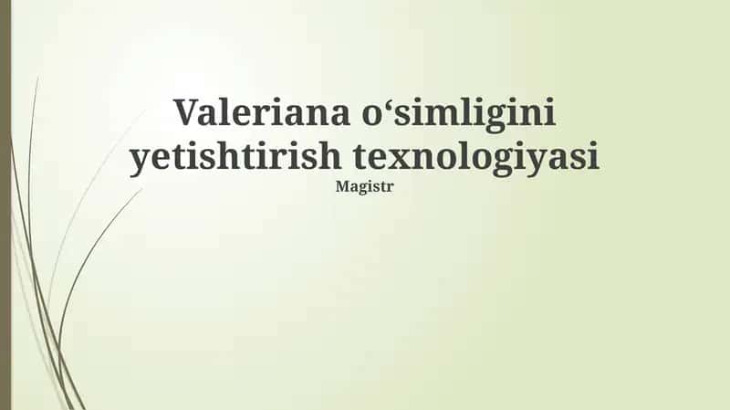 Valeriana oʻsimligini yetishtirish texnologiyasi 1