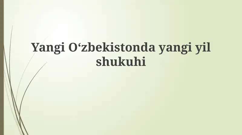 Yangi Oʻzbekistonda yangi yil shukuhi 1