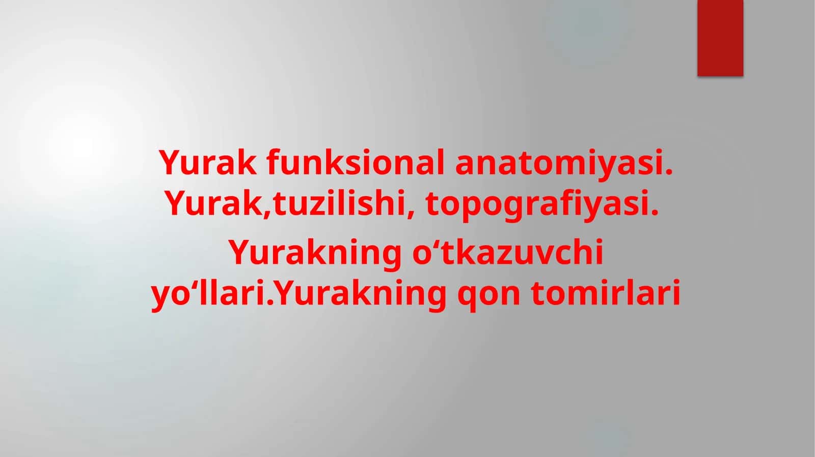 Yurak funksional anatomiyasi 1