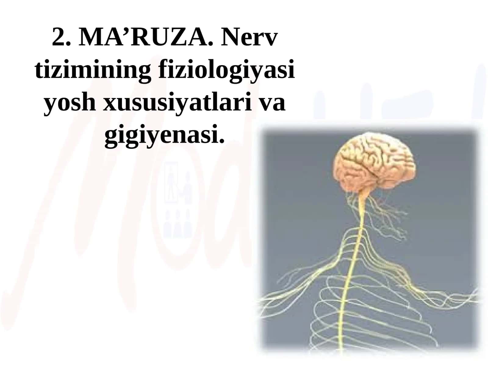 Nerv tizimining fiziologiyasi yosh xususiyatlarivagigiyenasi 1