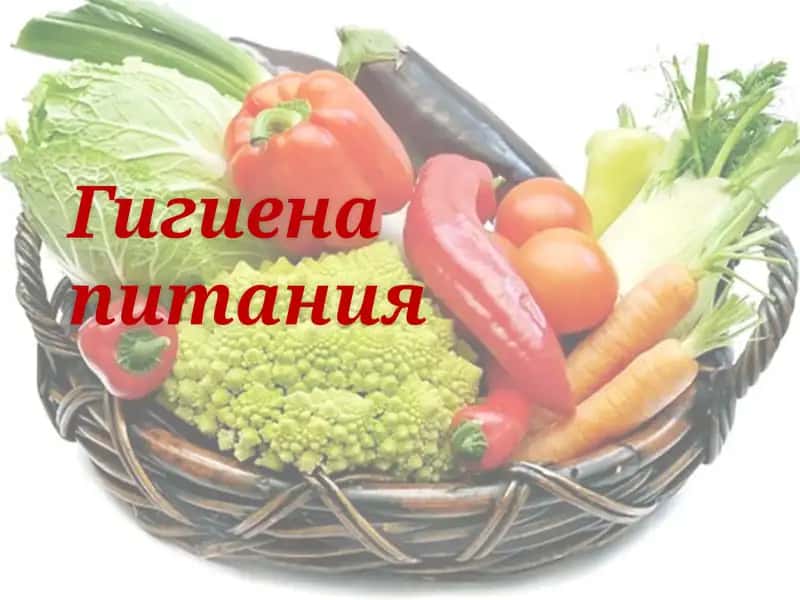 Гигиена питания 1