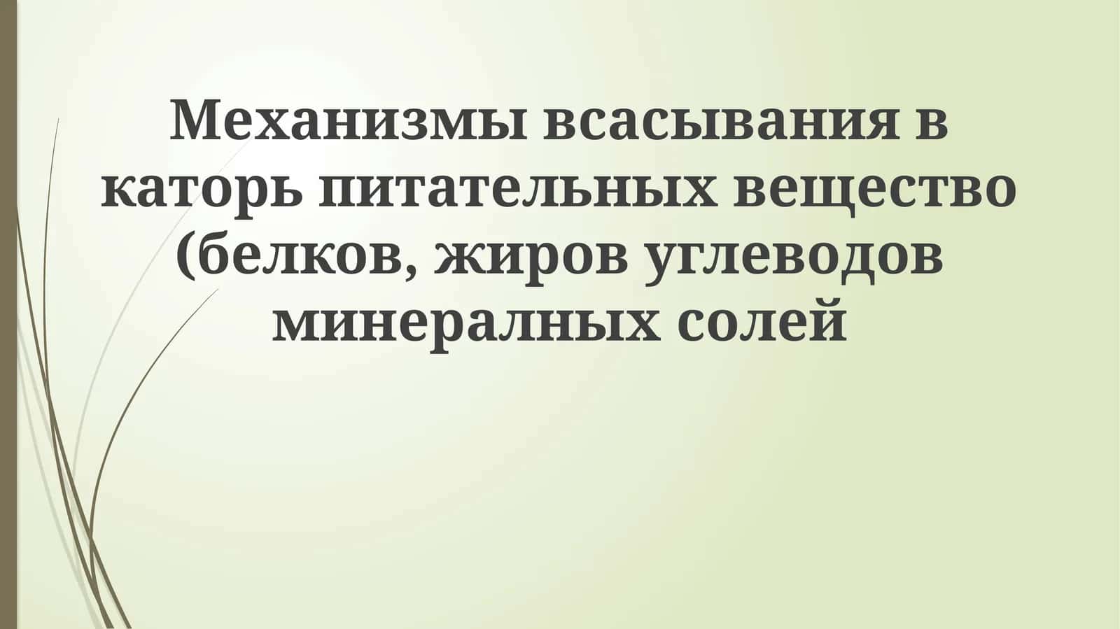 Механизмы всасывания в каторь питательных веществ (белков, жиров, углеводов, минеральных солей) 1