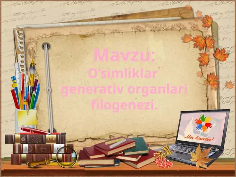 O’simliklar generativ organlari filogenezi 1